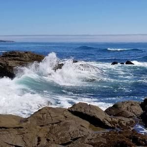 Meet your Posher, Lyle